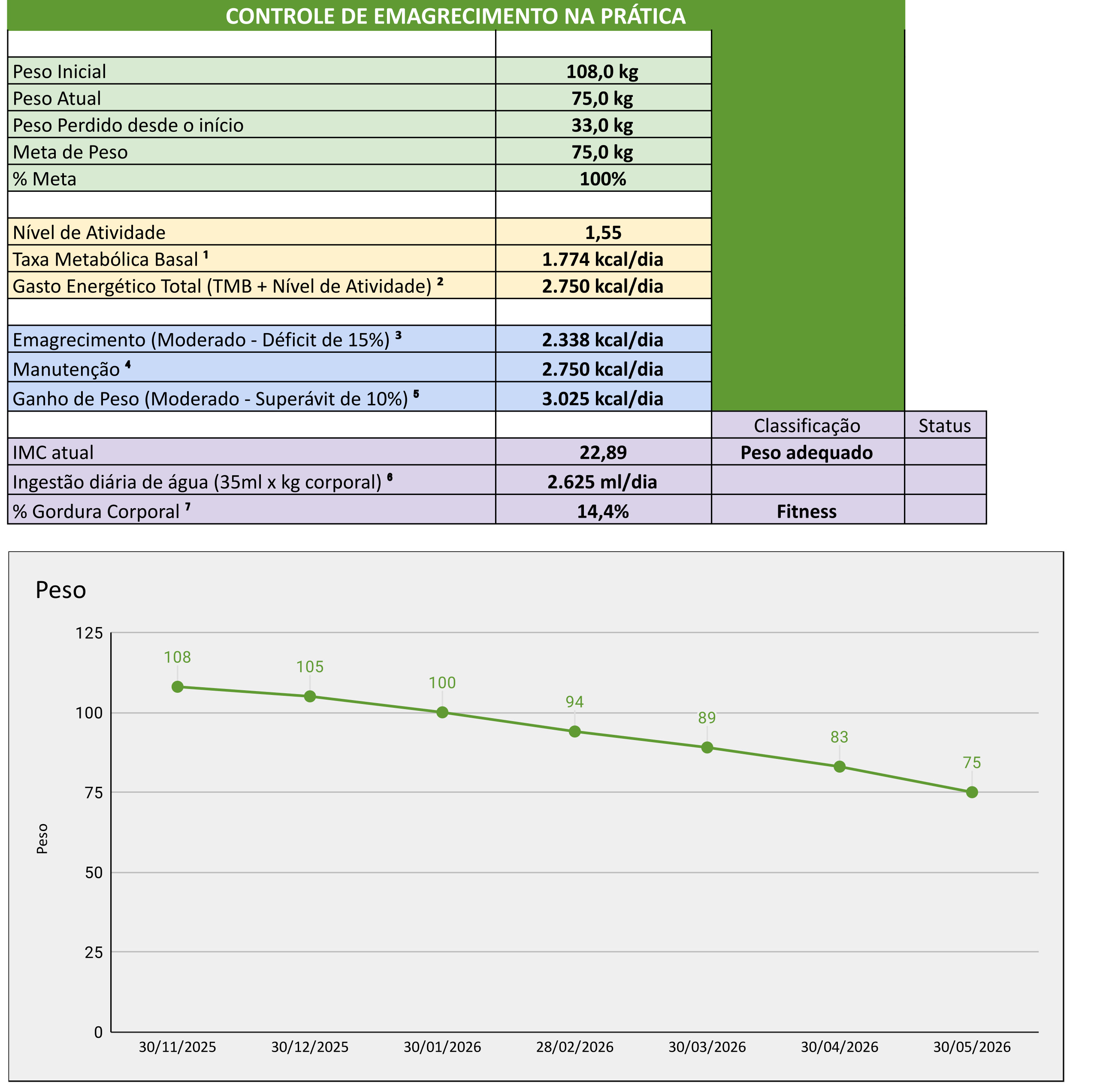 Dashboard da Planilha de Emagrecimento
